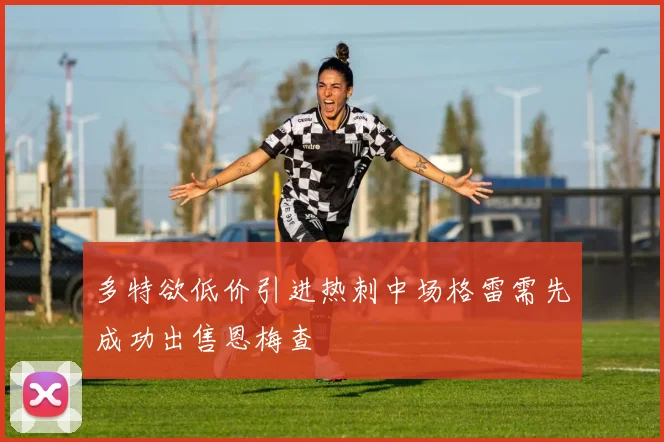 多特欲低价引进热刺中场格雷需先成功出售恩梅查