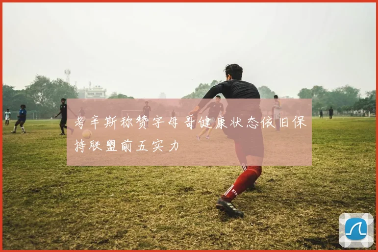 考辛斯称赞字母哥健康状态依旧保持联盟前五实力