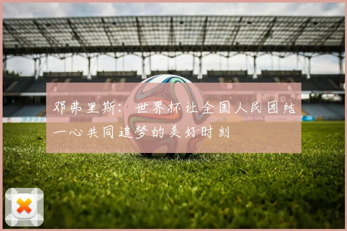 邓弗里斯：世界杯让全国人民团结一心共同追梦的美好时刻